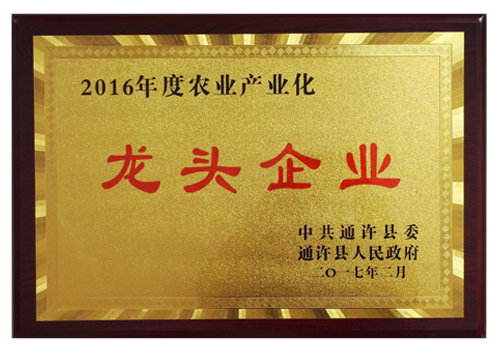 2016���ũҵ��ҵ����ͷ��ҵ