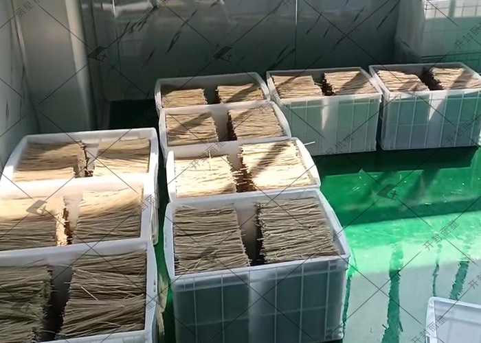������.jpg