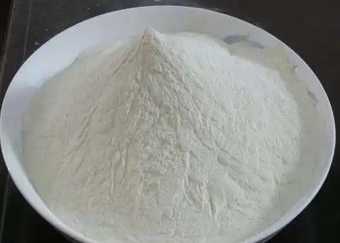 1751269119157930 淀粉.jpg